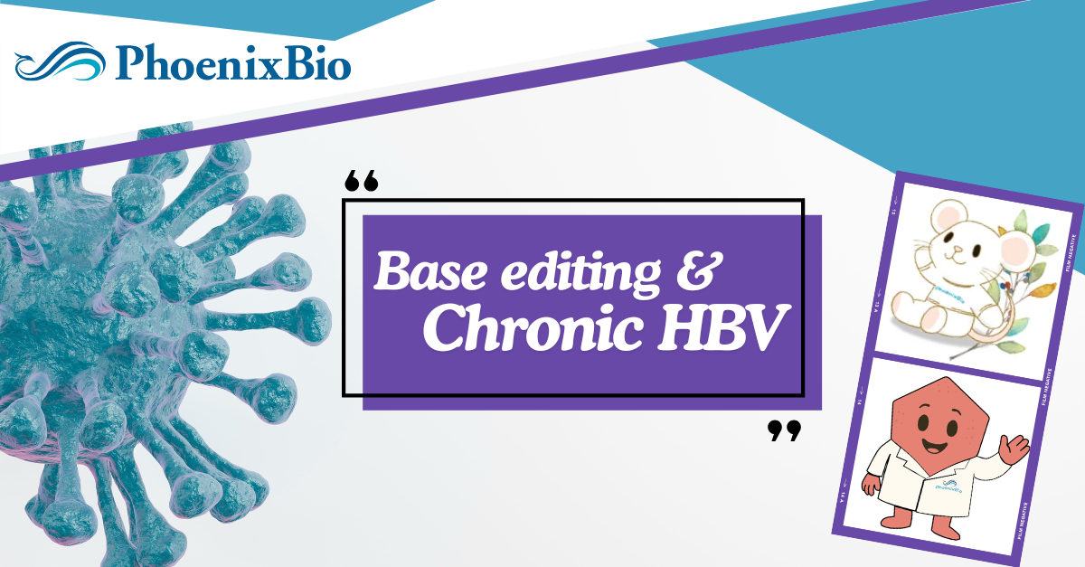 Hypocrisy / Penetralia ヒポクリシー Testing the Efficacy of cccDNA-targeted Base Editing
